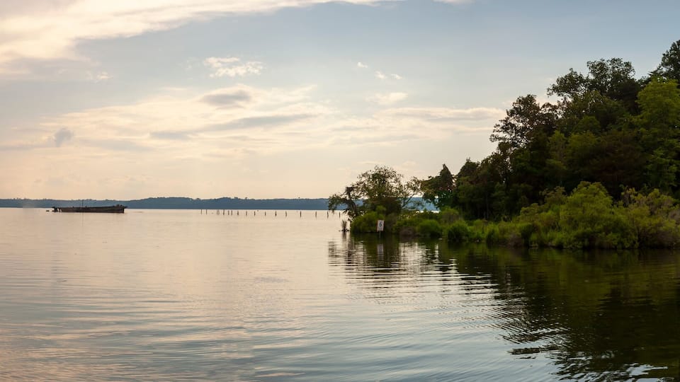 A calm lake with a boat in the distance, surrounded by dense forest.