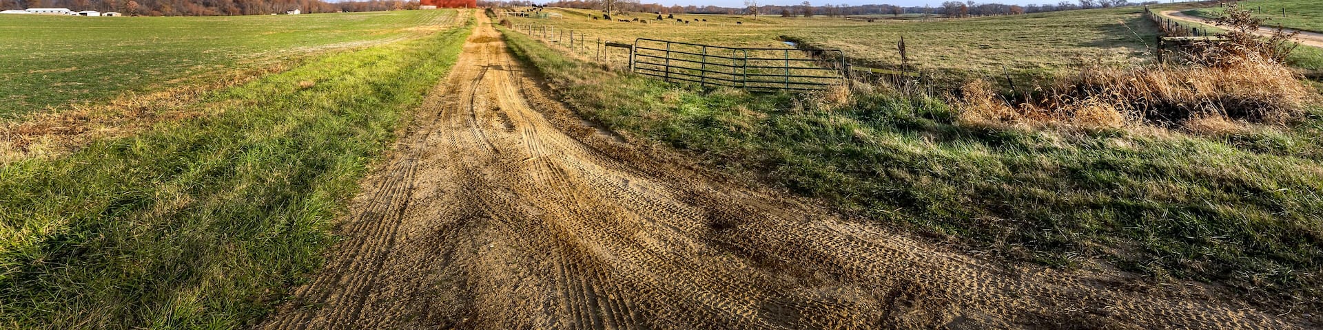 Rural Maryland Farm Landscape with long Dirt Road leading to a Red Barn