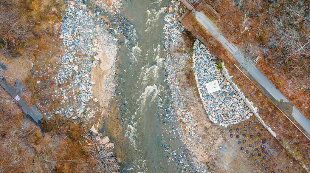 Aerial view of the Grist Mill Walking Bridge and Patapsco River n Catonsville, Maryland, United States.