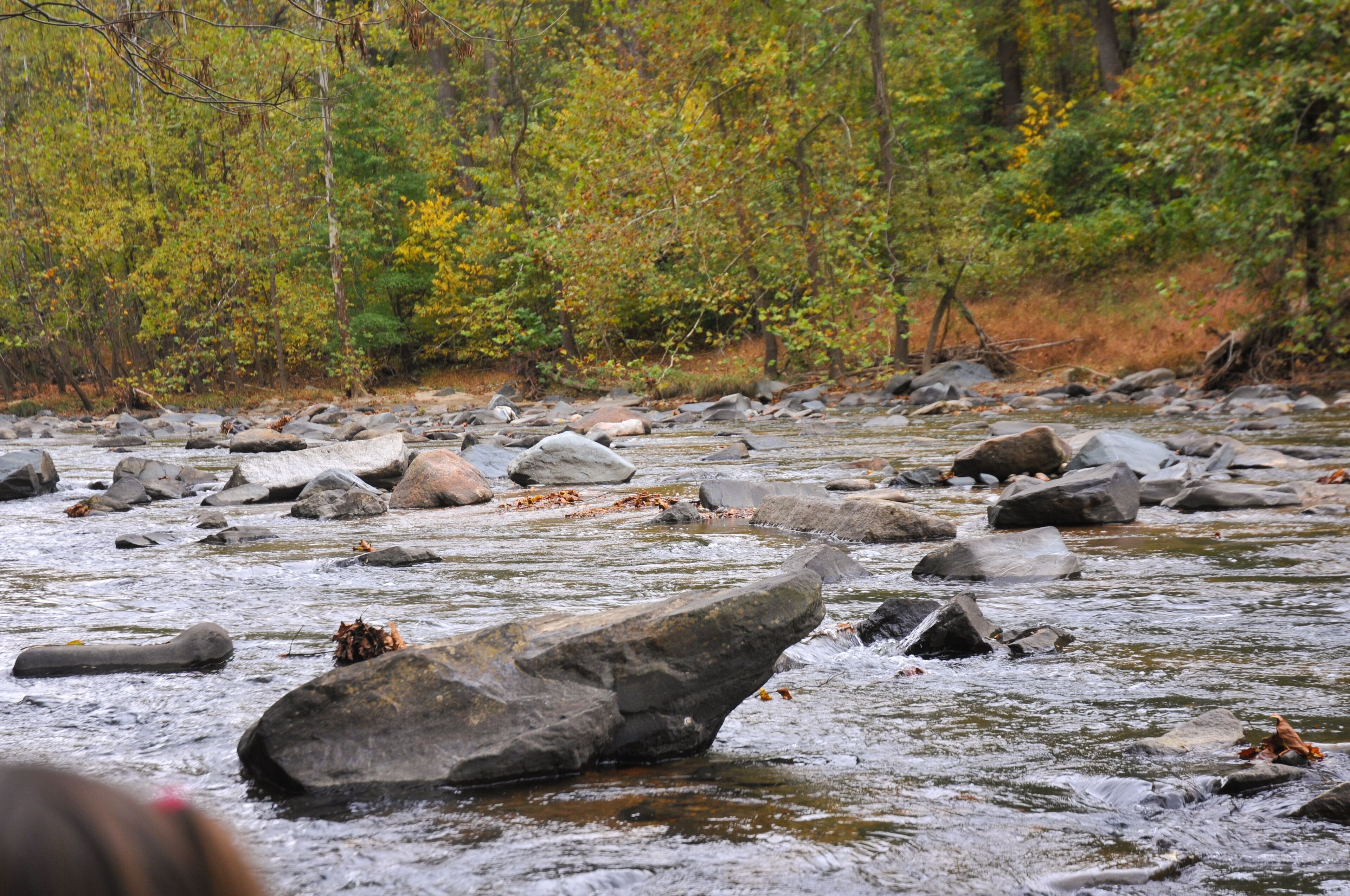 The Patapasco River near Ellicott City, Maryland