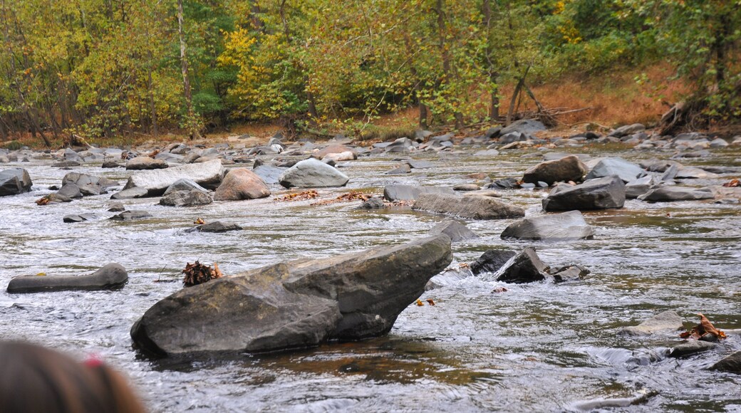 The Patapasco River near Ellicott City, Maryland