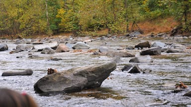 The Patapasco River near Ellicott City, Maryland