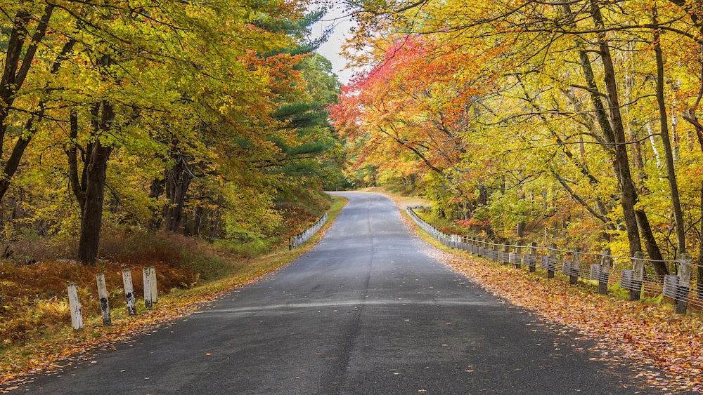 Colorful trees frame a road in Massachusetts
