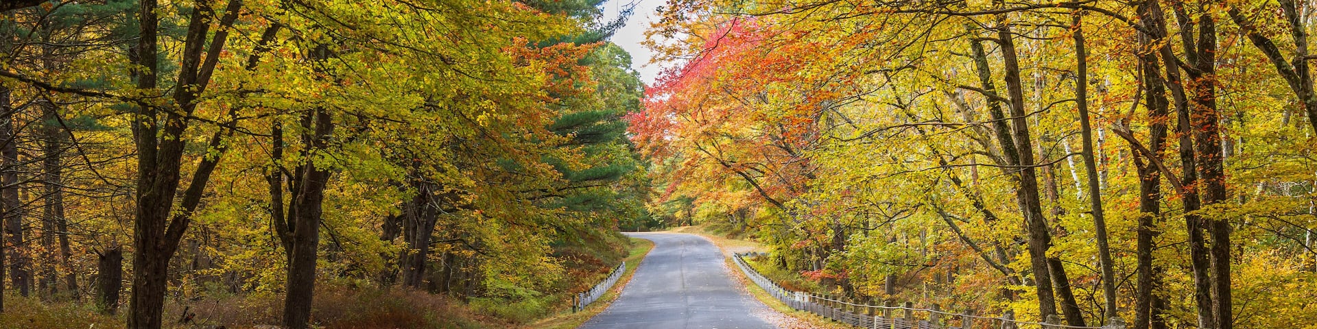 Colorful trees frame a road in Massachusetts