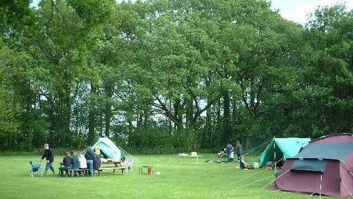 Blackmore Girl Guide Camp. On the land of a former army base.