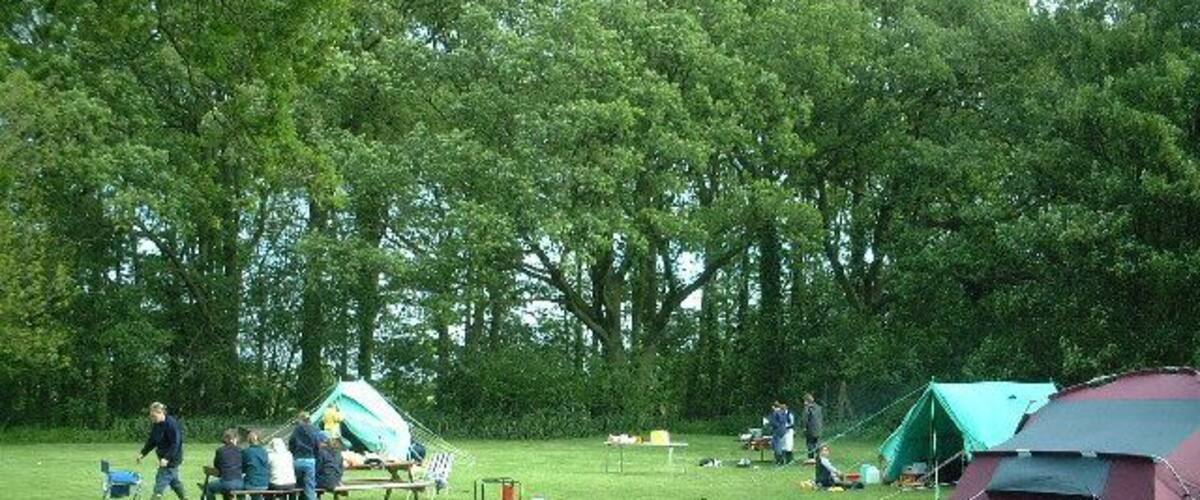 A grassy field with tents and people gathered around.