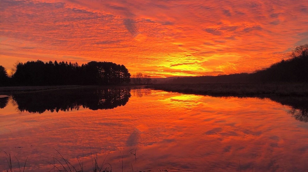 The best spot for sunrise, ever.
This time of year Iâm out and about before the suns up, so dawns like this are frequent.