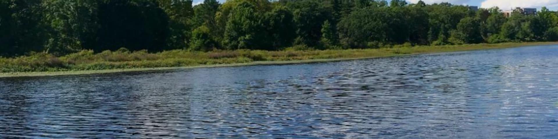 Such a beautiful river! Takes you through the water way of cuties that are located on his banks!!! The boat ride is something for everyone and a must do for your bucket list!!!