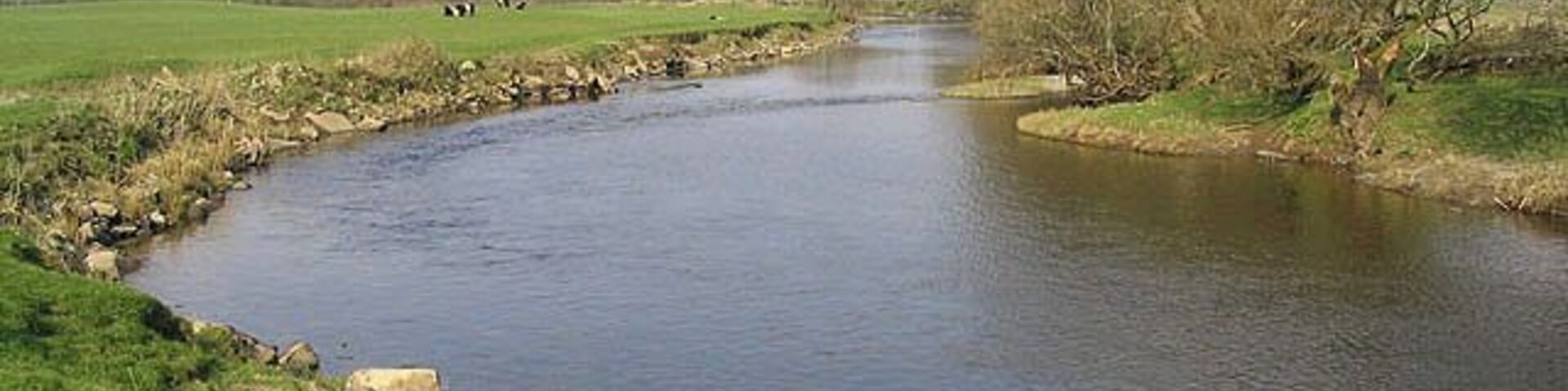 The Cluden Water East of Irongray Bridge.
