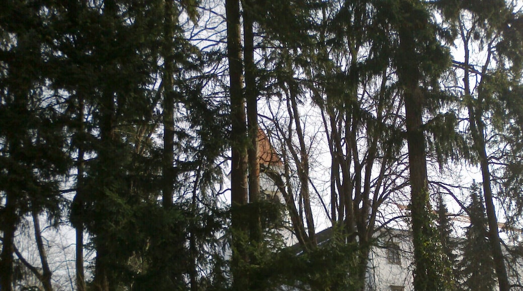 Castle in town OrmoĆŸ, first mentioned in the year 1278.