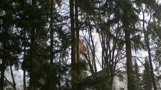 Castle in town Ormož, first mentioned in the year 1278.