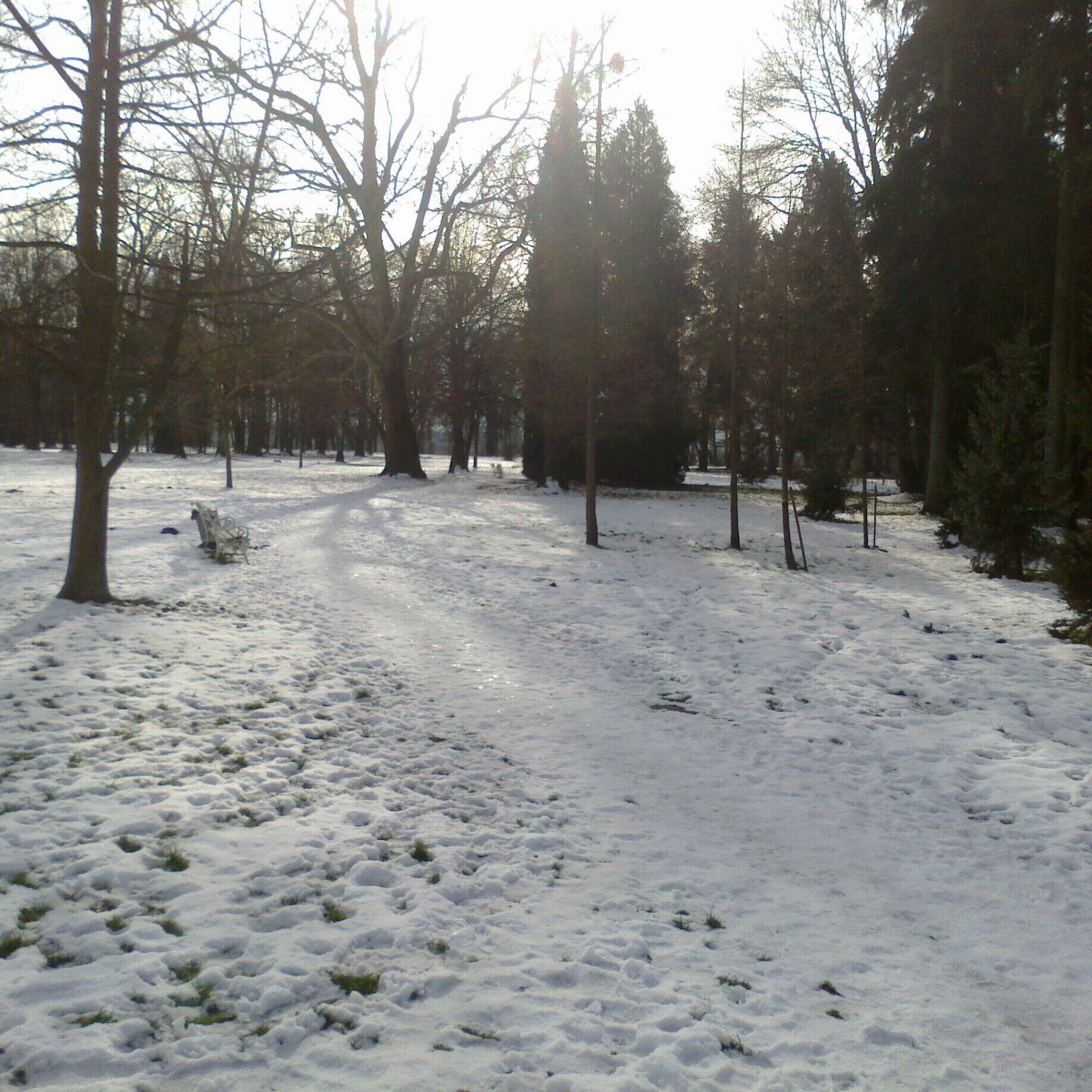 Ormož town park in the winter.