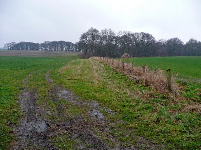 A muddy path in a grassy field with a fence and trees in the background.