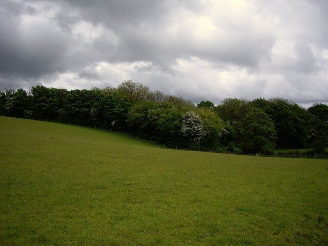 View from footpath towards Elmer Ridding