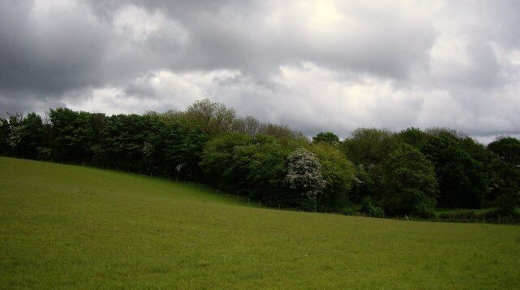 View from footpath towards Elmer Ridding