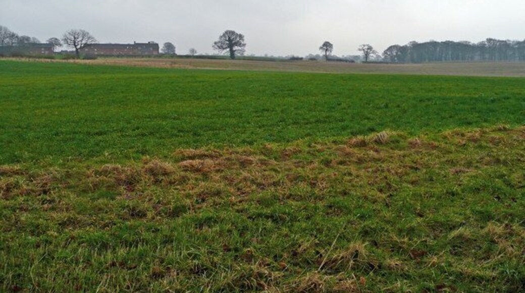 Over fields to Balterley Hall View east of Back Lane.