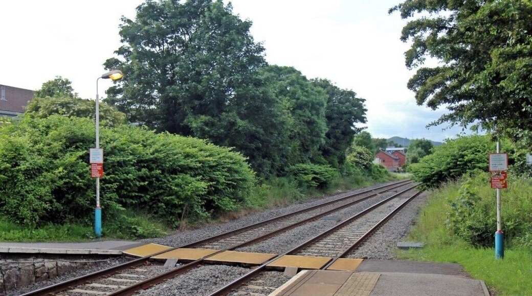 Foot crossing, Gwersyllt railway station