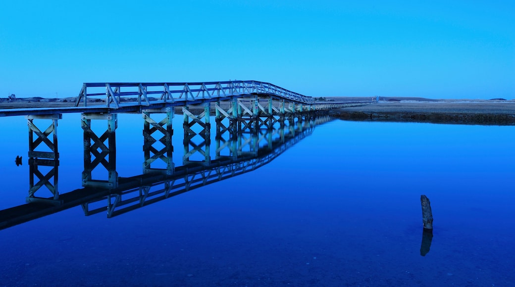 Bridge reflecting in water, blue image