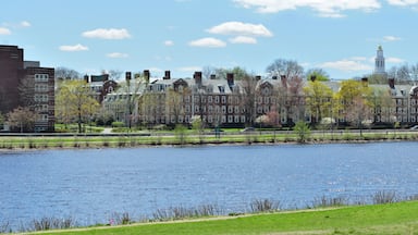 Charles River, Cambridge. Panoramic View