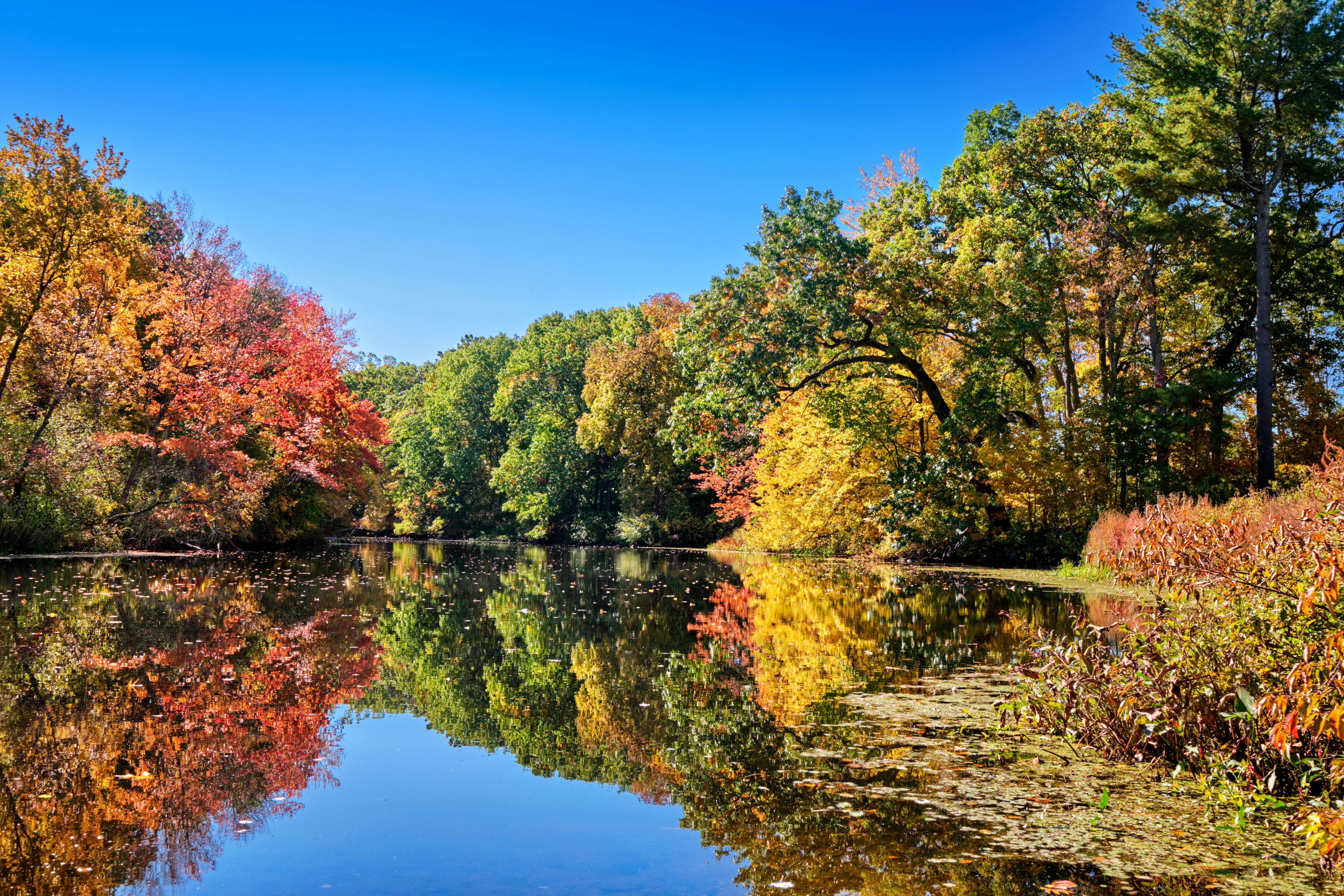 A calm lake reflecting colorful autumn trees and a clear blue sky.