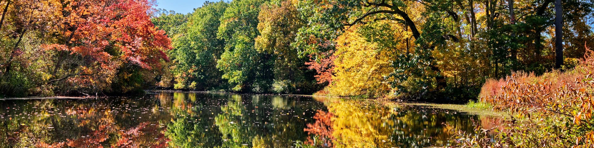 A calm lake reflecting colorful autumn trees and a clear blue sky.