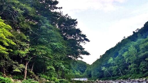 Early Morning Fishing.