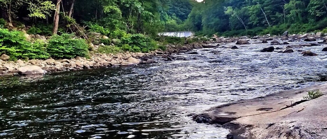 Early Morning Fishing.