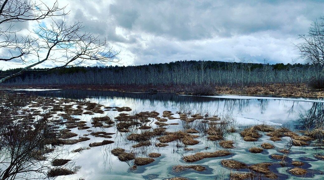 Sunday Afternoon 😎