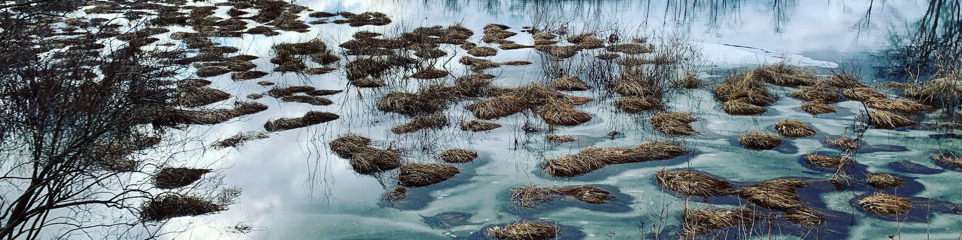 Sunday Afternoon 😎