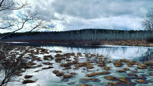 Sunday Afternoon ๐