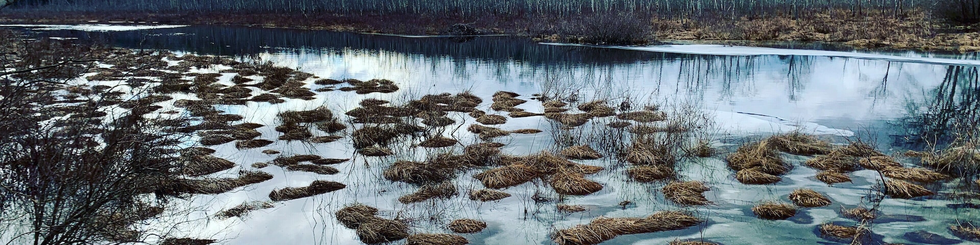 Sunday Afternoon 😎