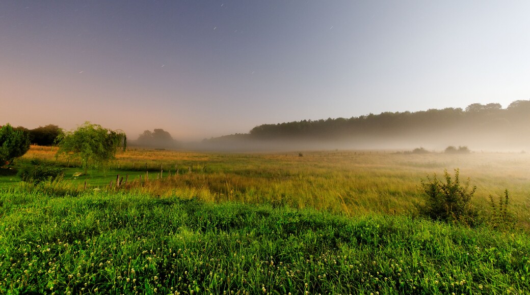 This file was uploaded with Commonist. This photograph was taken with a Nikon D300. Champ sous le brouillard (sous le clair de Lune).