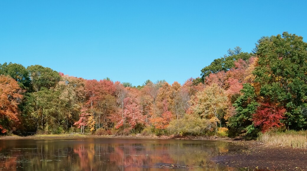 Autumn color of icehouse pond hopkinton MA USA