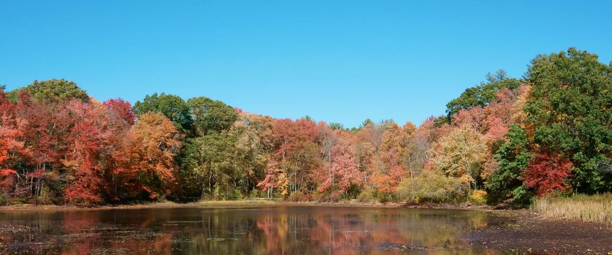 Autumn color of icehouse pond hopkinton MA USA