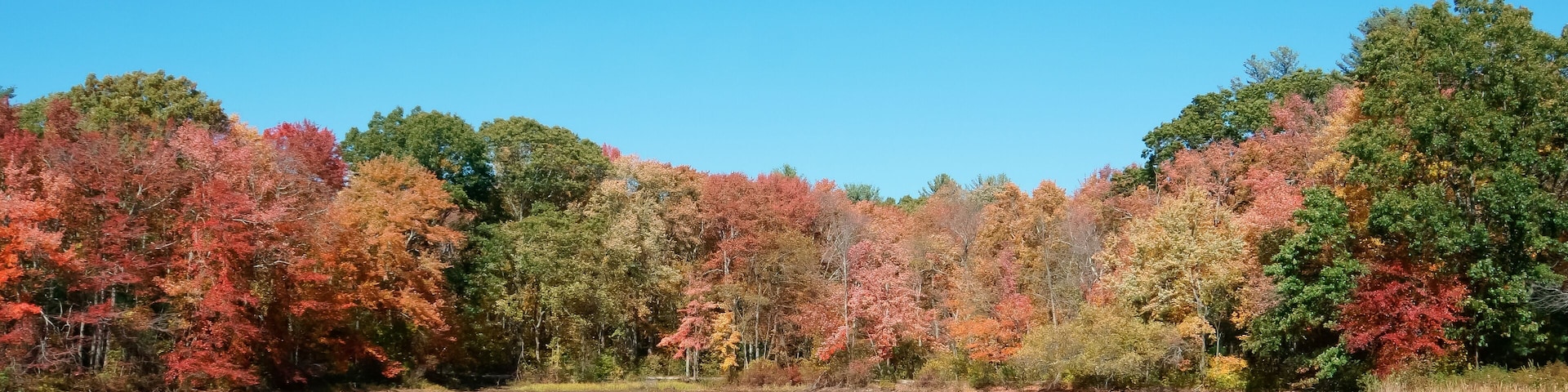 Autumn color of icehouse pond hopkinton MA USA