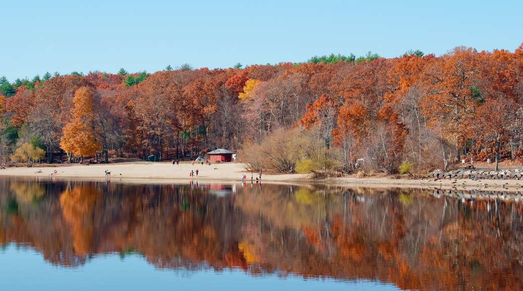 Autumn scenery of Hopkinton State Park MA USA