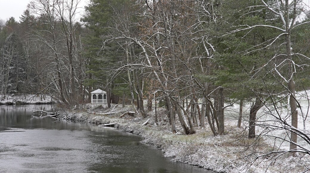 フーストニック