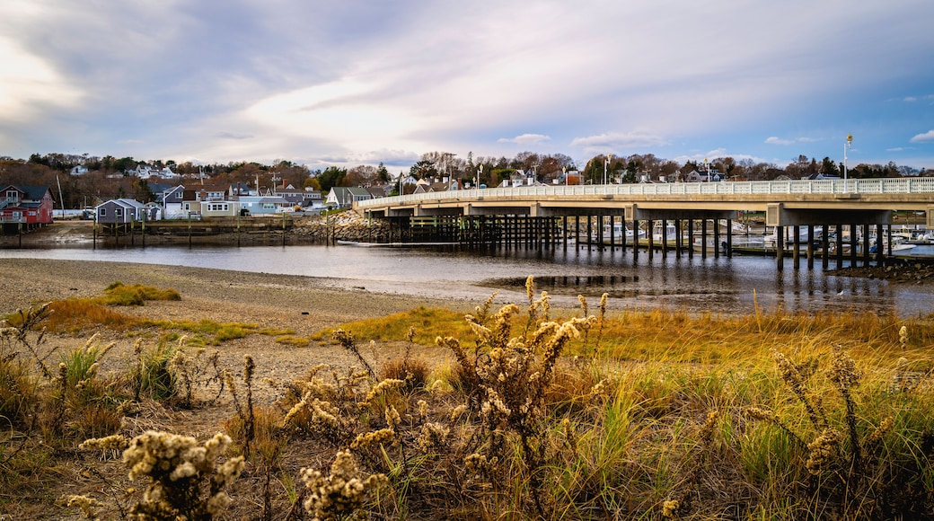 Beach seascape with the view of dried wild plants and Humarock bridge in Massachusetts.