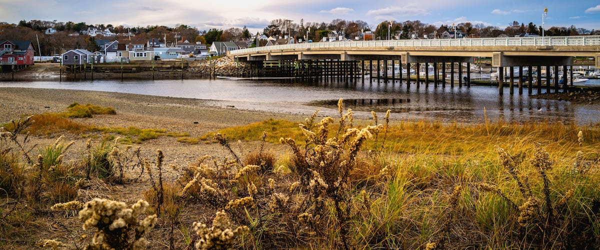 Beach seascape with the view of dried wild plants and Humarock bridge in Massachusetts.
