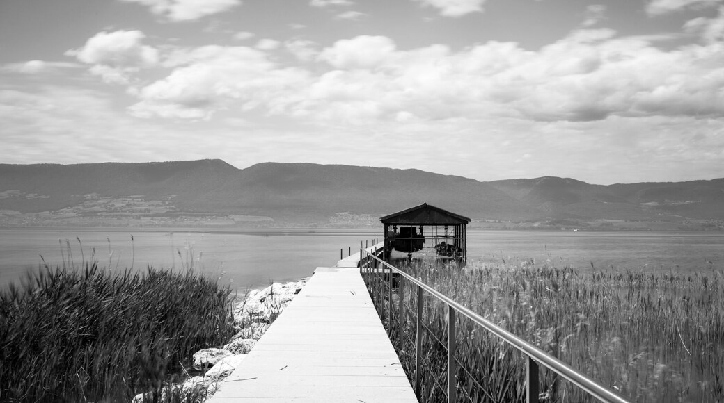 A quite scenic boardwalk leading to a boathouse is spotted along the walk path from Chevroux to Estavayer-le-lac