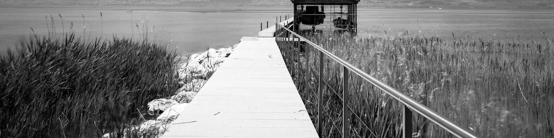 A quite scenic boardwalk leading to a boathouse is spotted along the walk path from Chevroux to Estavayer-le-lac