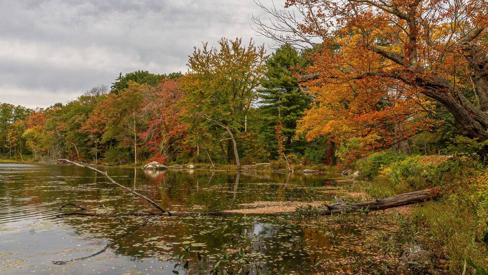 A calm lake surrounded by trees with autumn foliage.