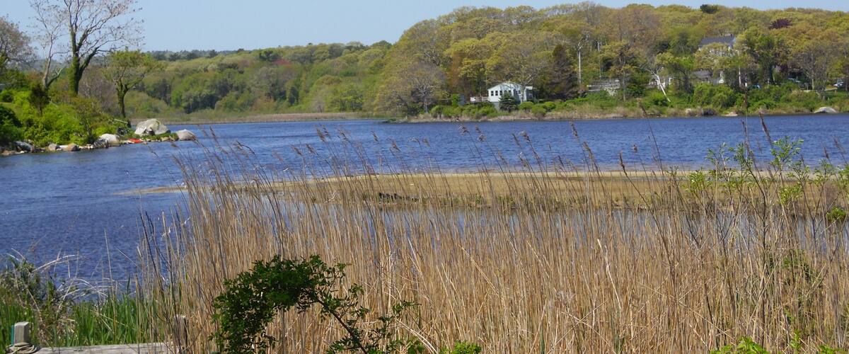 A lake with tall reeds in the foreground, a white house on the shore, and a forested hill in the background.