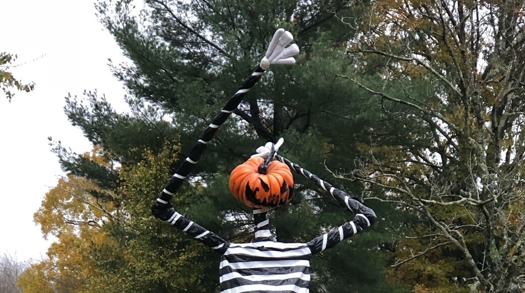 Just some leftover Halloween fun to see!