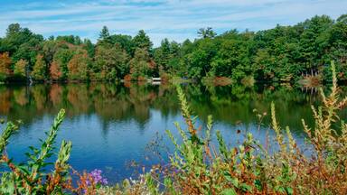 Tranquil lake and reflections