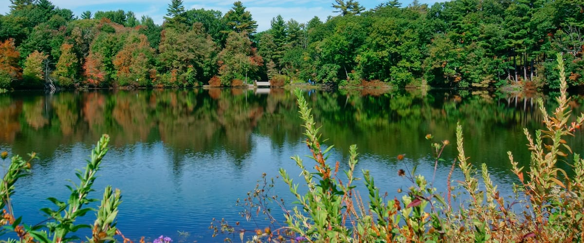 A calm lake surrounded by dense forest with autumn foliage.