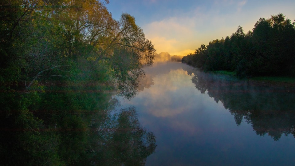 A calm river reflecting trees and a clear sky.