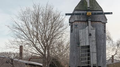 Bockwindmühle Döbler in Löbnitz