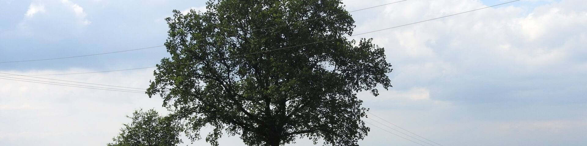 Friedhof von Kahmer, Thüringen