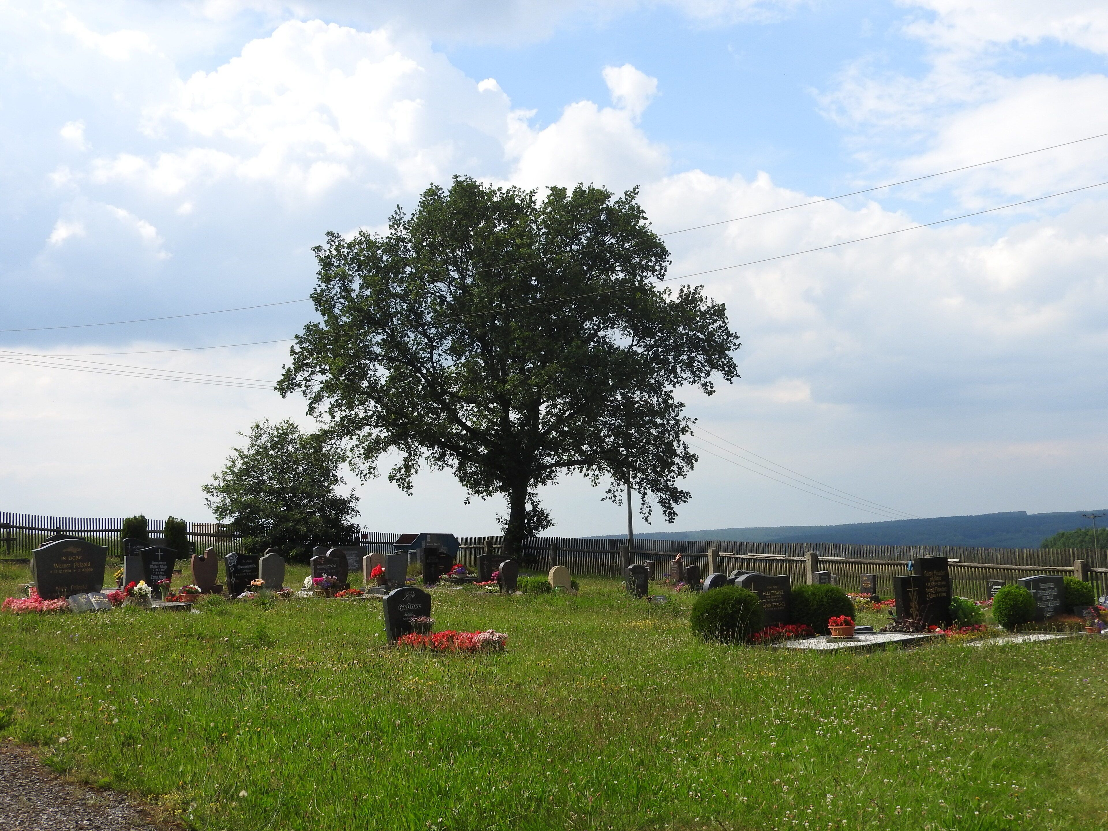 A cemetery with headstones and a large tree in the center.